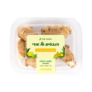 שורש ג׳ינג׳ר אורגני | הנבטים של אודי