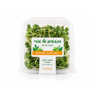 נבטי חמנייה אורגניים | הנבטים של אודי