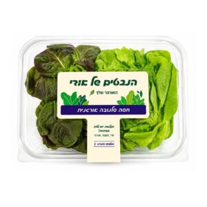 חסה סלנובה אורגנית | הנבטים של אודי