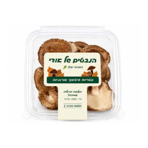 פטריות שיטאקי אורגניות | הנבטים של אודי