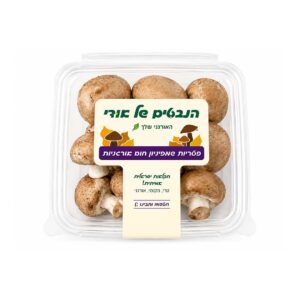 פטריות שמפניון אורגניות | הנבטים של אודי