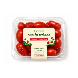 עגבניות שרי אורגניות | הנבטים של אודי